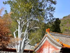 -潭柘寺景区
