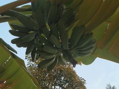 -云溪植物园
