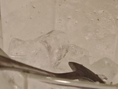 -松兰山海景大酒店·海鲜中餐厅