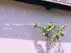 -云间粮仓