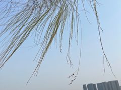 -石湖景区