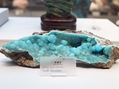 -湖南省地质博物馆