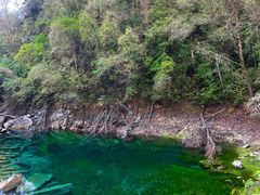 -叠溪松坪沟景区