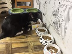-小时光咖啡馆(开森度假森林店)