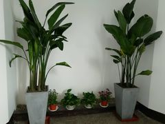 -小溪桥三号院子(华庄店)