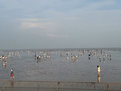 -奉贤海滩