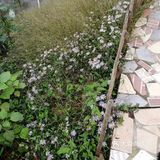 山清水秀的地方