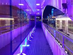 -武汉两江游览·夜游长江(汉口粤汉码头)
