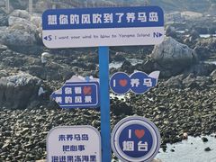 -养马岛旅游度假区