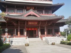 -溱湖国家湿地公园