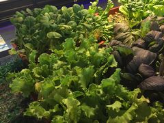 -小牛海记潮汕牛肉店(永定路店)