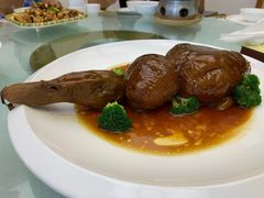-丁老爷子苏香圆