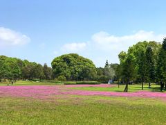 -福建鲤鱼洲酒店