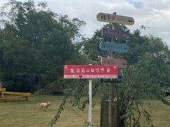 -前小桔亲子创意农场·草莓采摘·露营烧烤