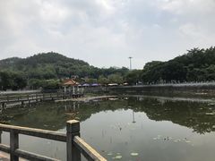 -红山村