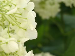 -三仟津花园咖啡馆