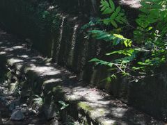 -东天目山风景区