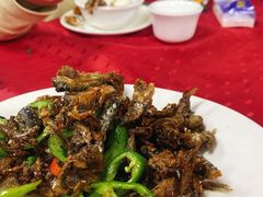 椒盐多春鱼-蛇口康乐快餐鱼仔档(翠苑小区店)