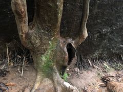 -武夷山风景名胜区-虎啸岩