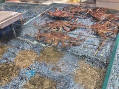 -顺风山庄(水濂山店)