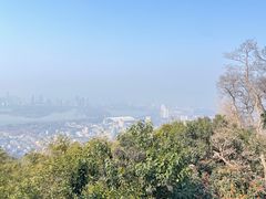 -紫金山山顶公园