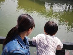 -花洲书院