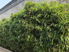 -北京颐和宾馆