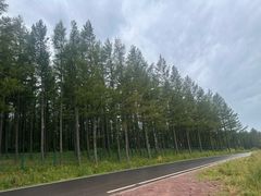 -塞罕坝国家级自然保护区