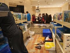 -双井轩(双井店)