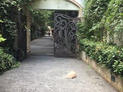 -橼舍鮨青木
