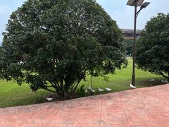 -太湖龙之梦