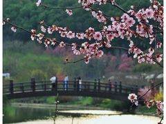 -苏州上方山国家森林公园