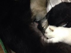 iphone_upload_pic-A+摄影