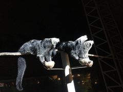 -清迈夜间动物园