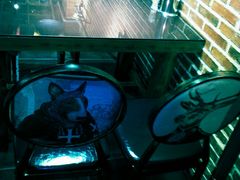 大堂-三个大叔东北烧烤·砂锅菜(西三旗店)