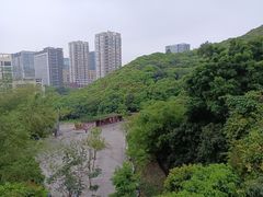 -鲤鱼塘农家山庄