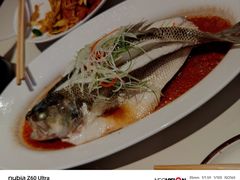 -京都饺子(双塔西街店)