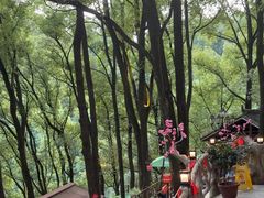 -巴倒烫陆派火锅山庄(南山总店)