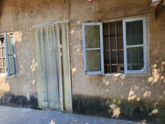 -陈岱后山窑鸡店