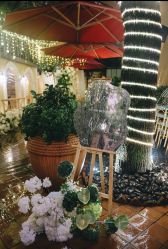 -迈瑞米求婚策划(静安店)