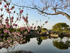 -无锡蠡湖国家湿地公园-蠡园