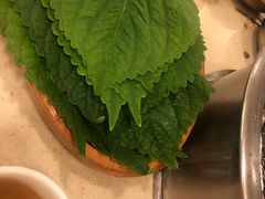 -福云龙(黄河南大街店)