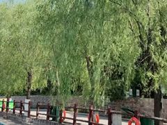 -山叶口景区