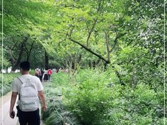 -西湖游船