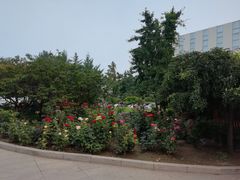 -北京邮电会议中心