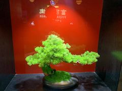 -富侨养生(九亭店)