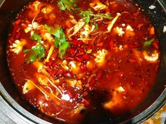 -重庆乌鱼庄·龙滋鲜(青羊大道店)