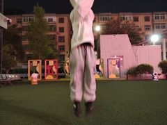 -陕西省小天鹅艺术团