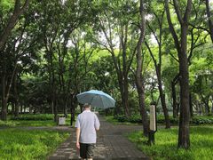 -玲珑塔公园