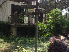 -铁山坪森林公园